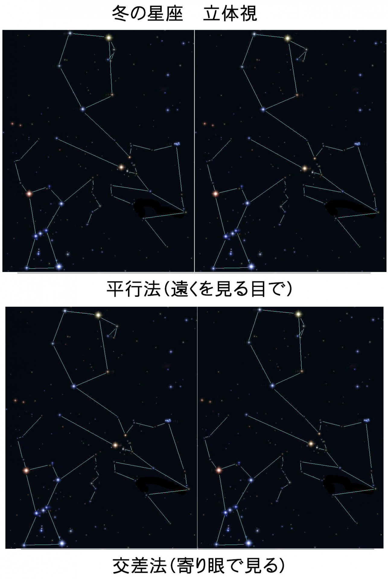 星座立体視　冬の星座  平行法交差法  星座線
